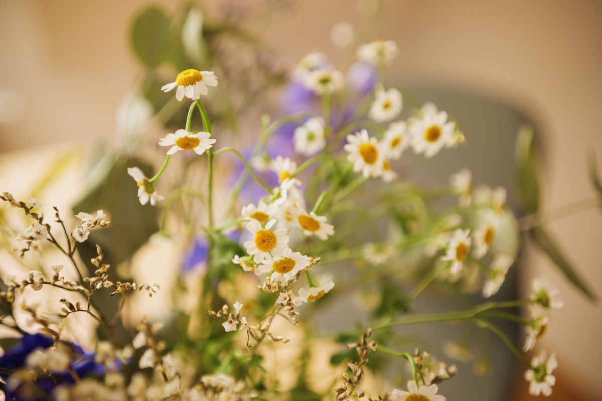 Frische Blumen in der Praxis